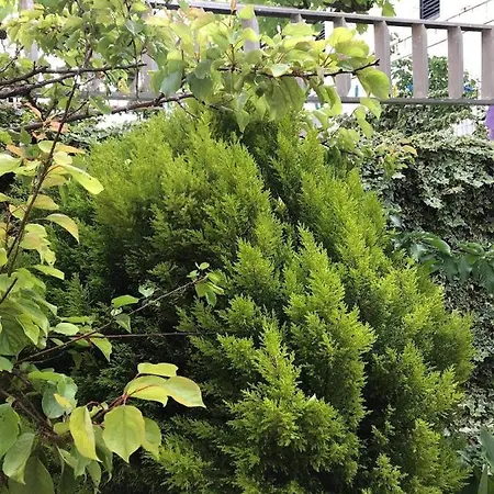 Appartement Sarajevo