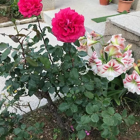 Appartement Sarajevo Vodice