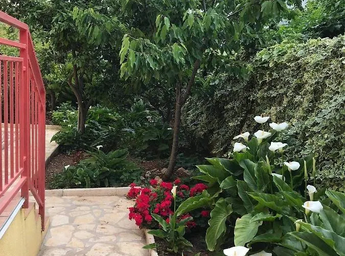 Sarajevo * 沃迪切