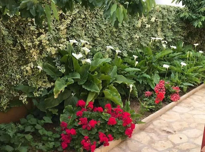 Sarajevo 公寓 沃迪切